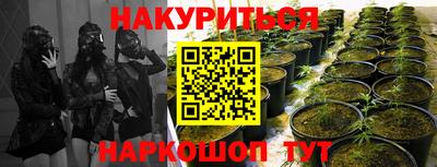 таблы Краснознаменск
