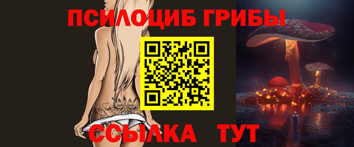 Псилоцибиновые грибы Psilocybe  Галлюциногенные грибы прущие грибы  Клин  Вход с VPN 